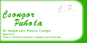 csongor puhola business card